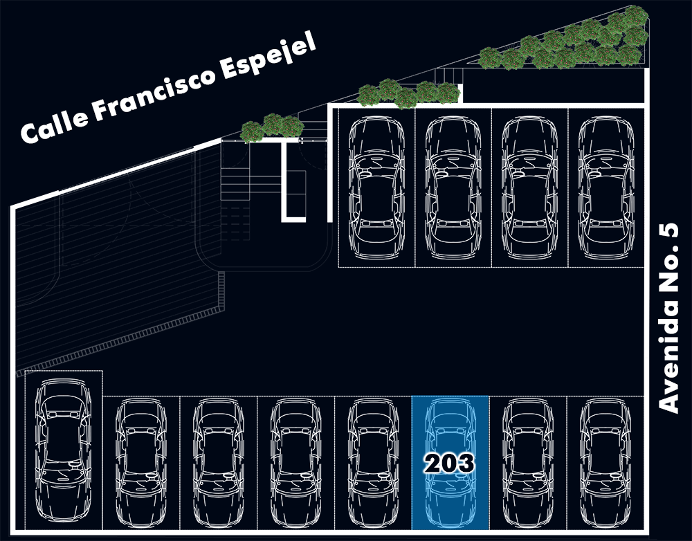 Lugar de Estacionamiento Departamento 203